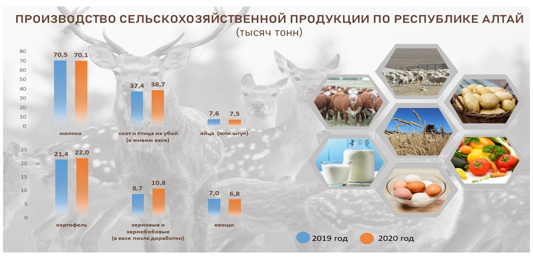 О сельском хозяйстве Республики Алтай в январе-ноябре 2020 года