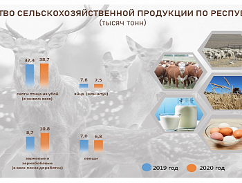 О сельском хозяйстве Республики Алтай в январе-ноябре 2020 года